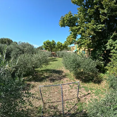 Gardenali