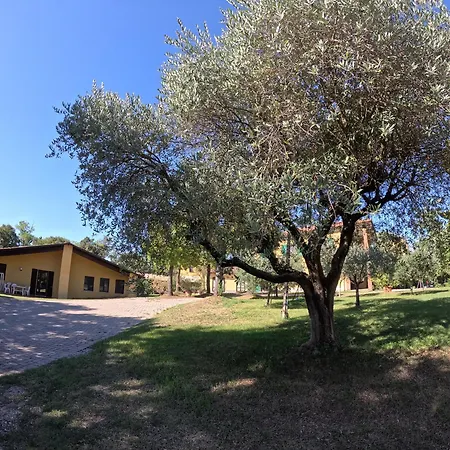 Gardenali Gospodarstwo agroturystyczne Volta Mantovana