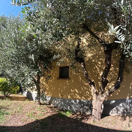 Gardenali