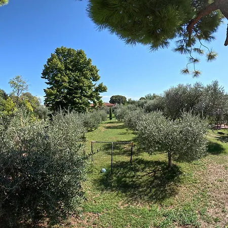 Gardenali *