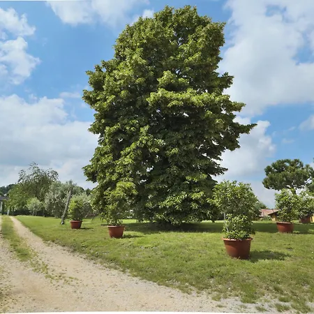 Gardenali * Volta Mantovana